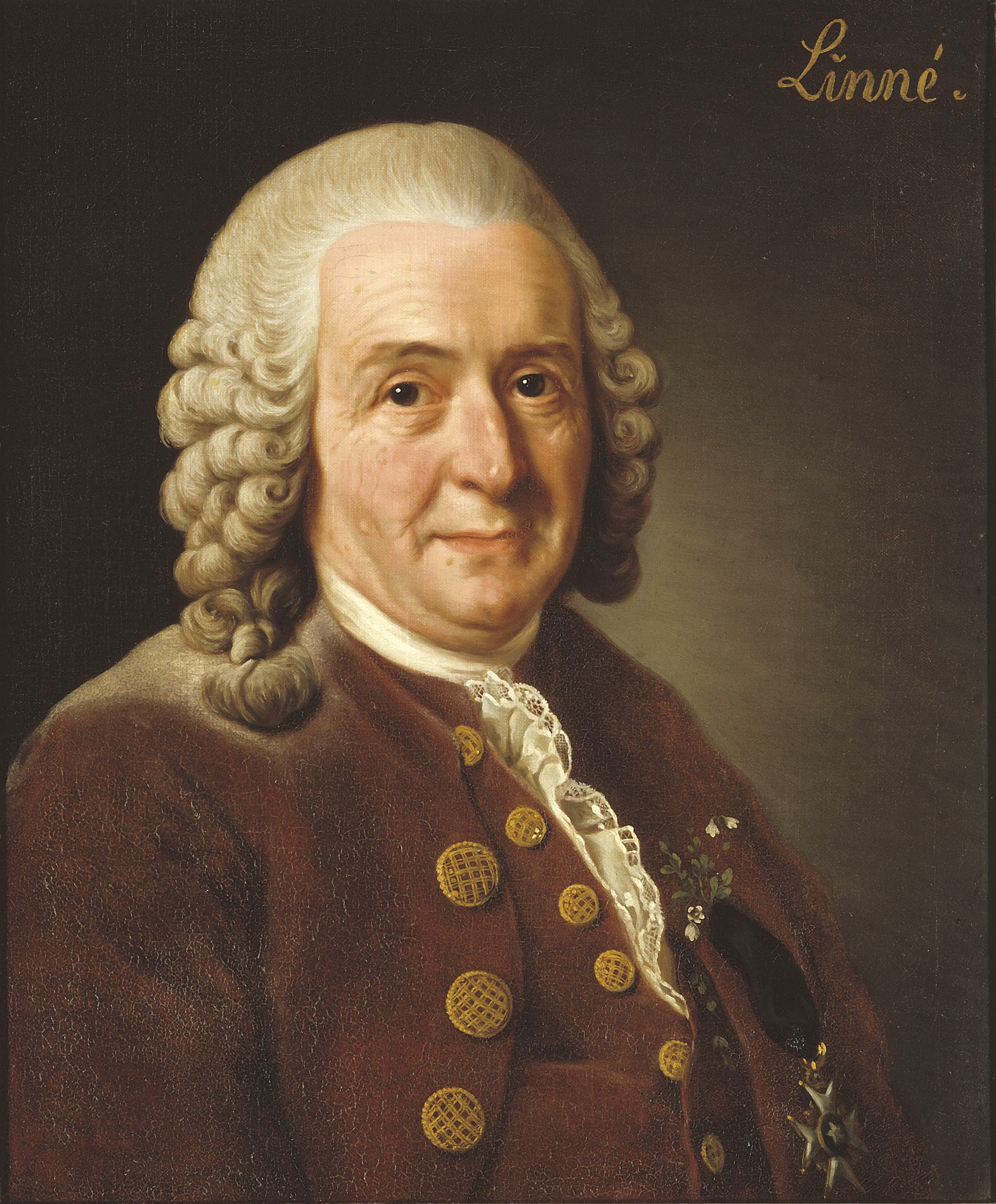 Karol Linneusz